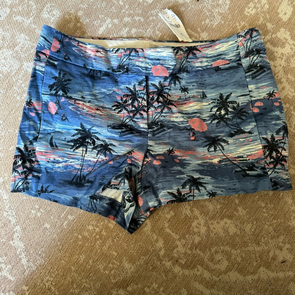 J. Crew shorts